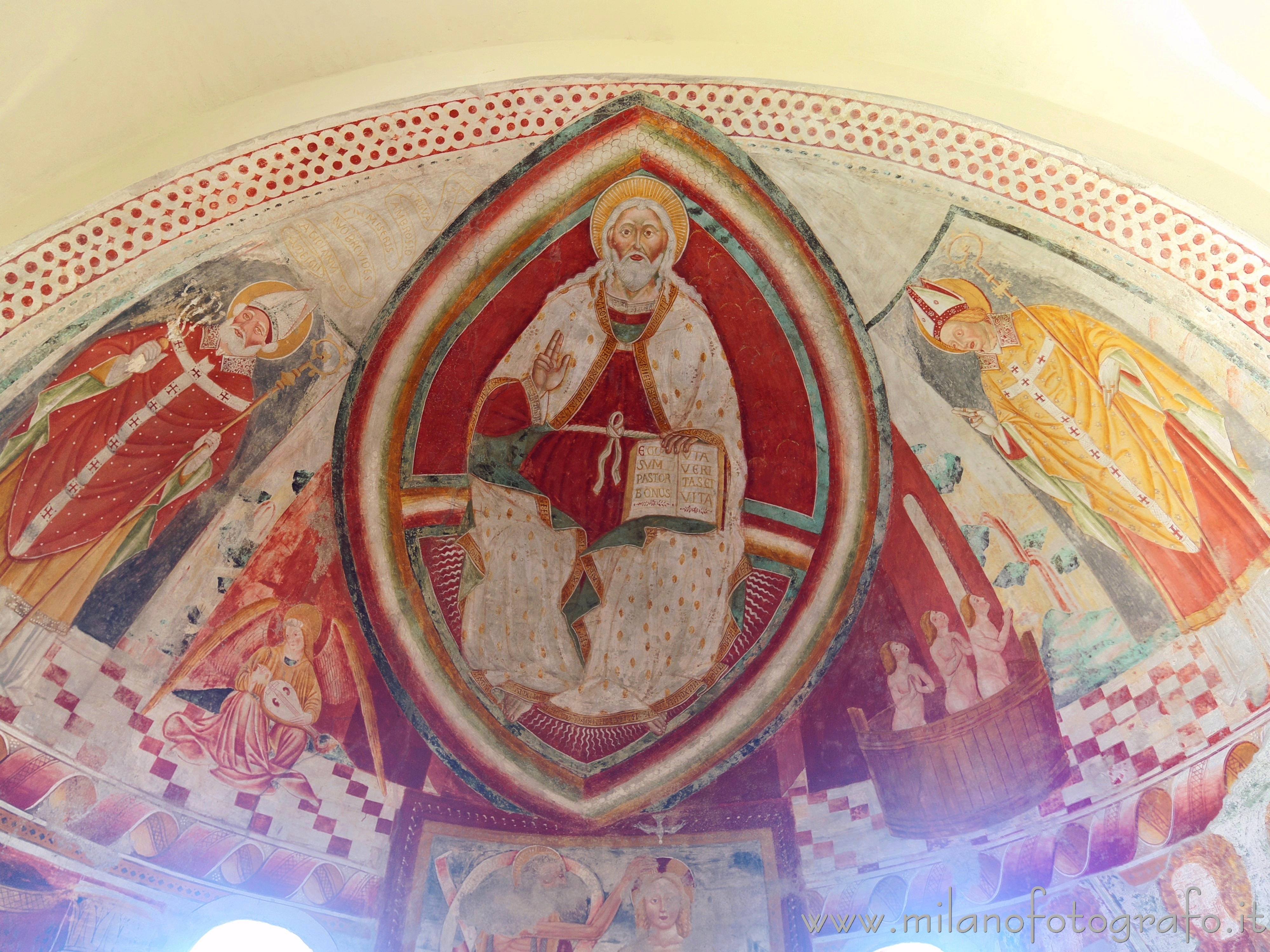 Sesto Calende (Varese) - Catino absidale dell'abside sinistro dell'Abbazia di San Donato